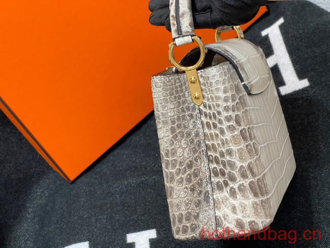 Louis Vuitton Capucines MM N93419 gray&white