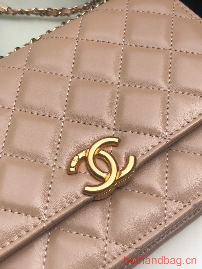 Chanel SMALL FLAP BAG AS2289 light pink