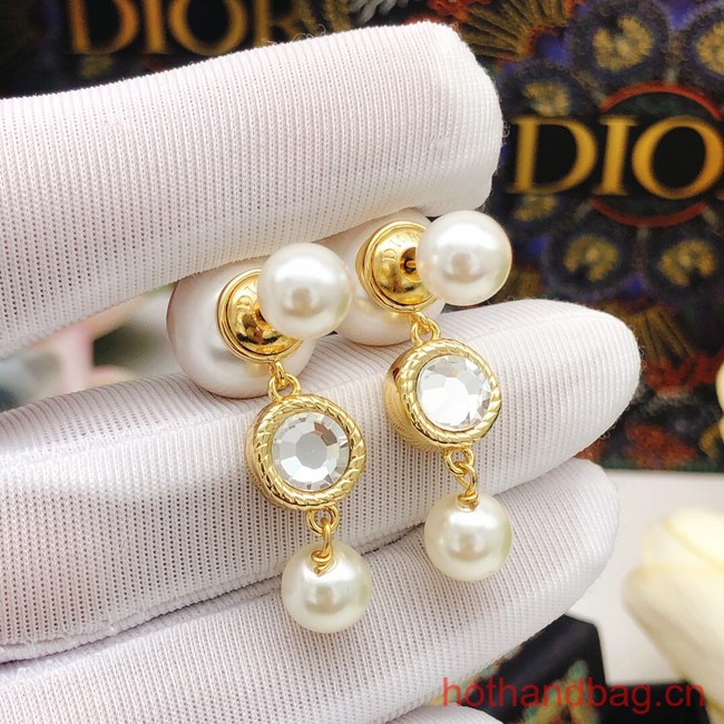 Dior Earrings CE13379