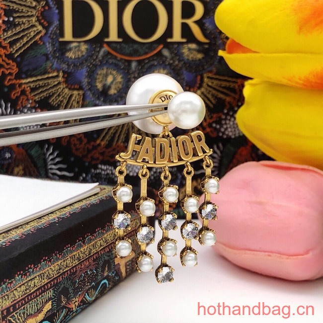 Dior Earrings CE13380