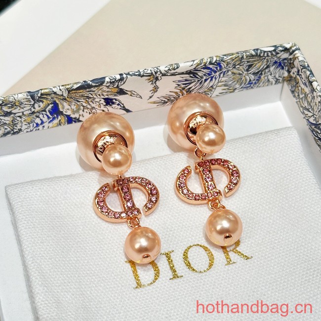 Dior Earrings CE13464