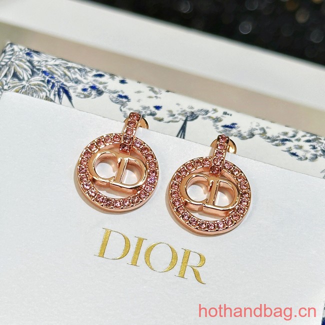 Dior Earrings CE13465