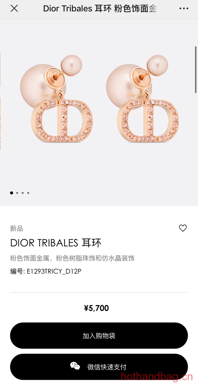 Dior Earrings CE13481