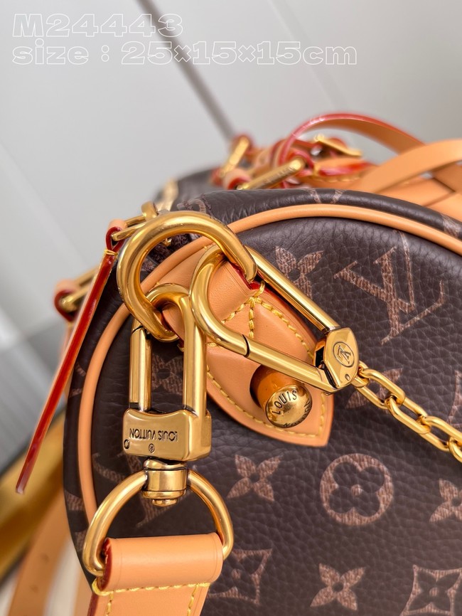 Louis Vuitton Speedy P9 Bandouliere 25 M24443