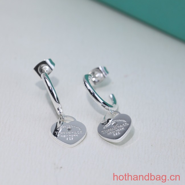 TIFFANY Earrings CE13518