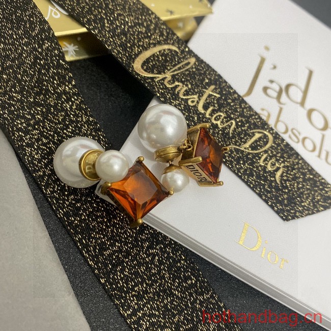 Dior Earrings CE13573