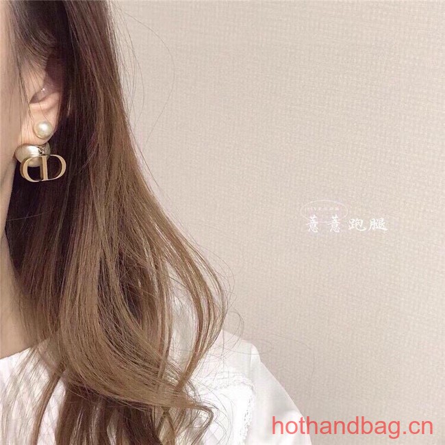 Dior Earrings CE13627