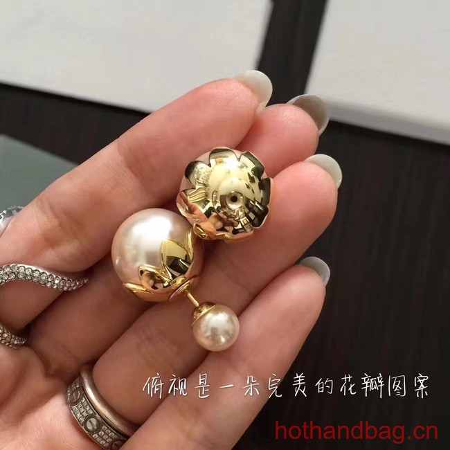 Dior Earrings CE13641