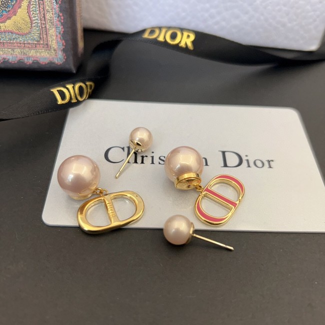 Dior Earrings CE13650