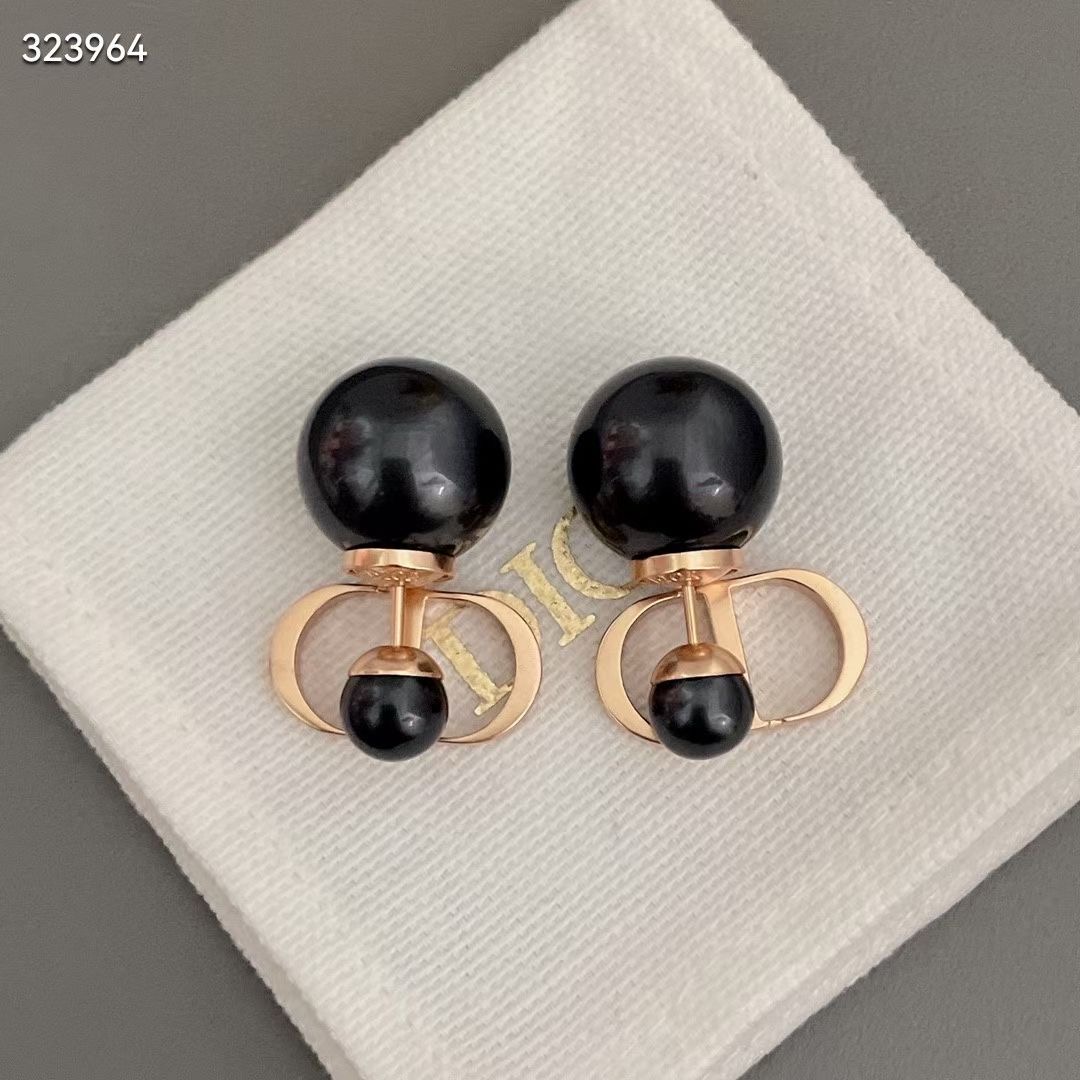 Dior Earrings CE13670