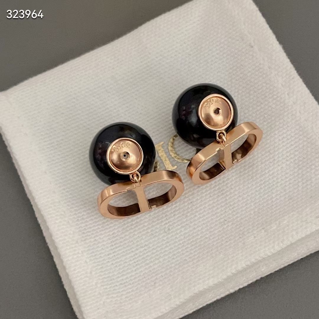 Dior Earrings CE13670
