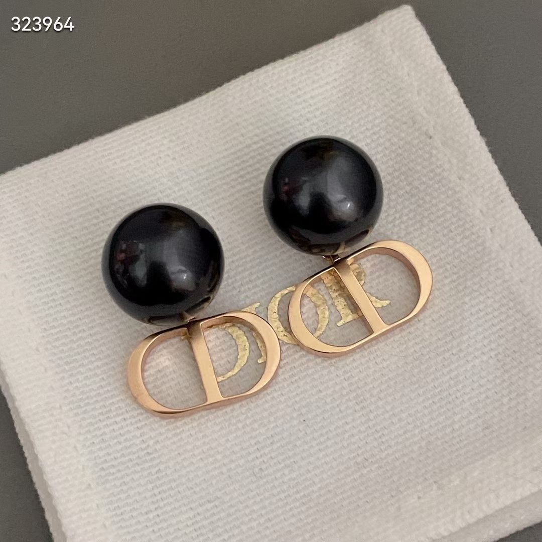 Dior Earrings CE13670