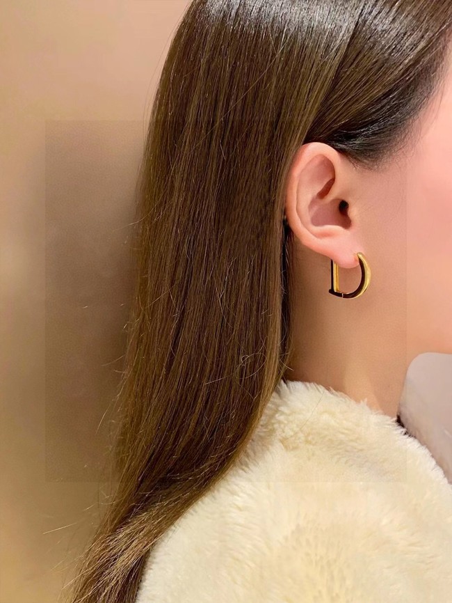 Dior Earrings CE13685