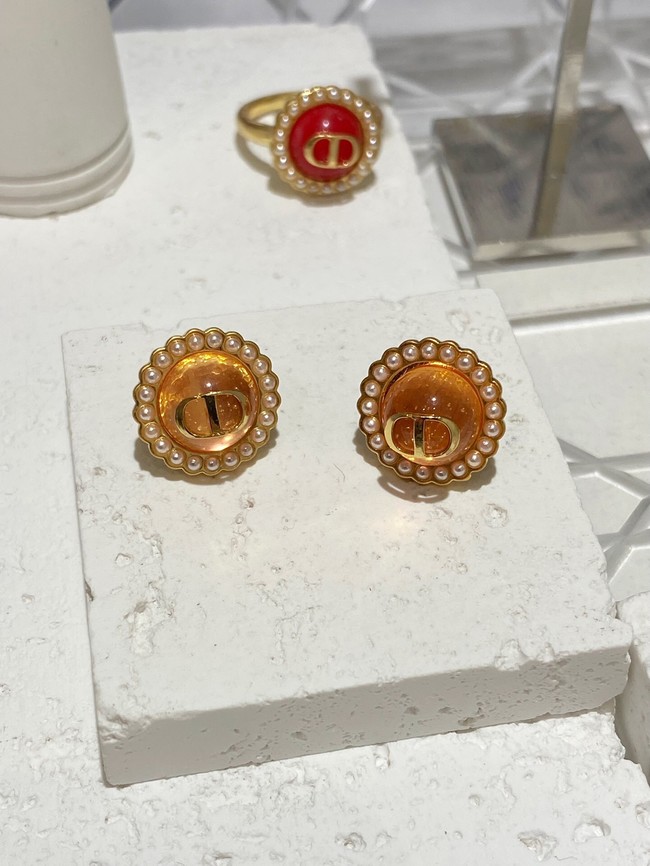 Dior Earrings CE13727