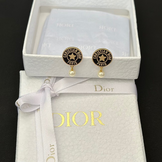 Dior Earrings CE13760