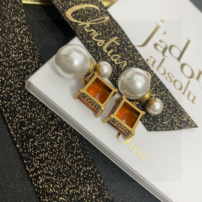 Dior Earrings CE13768