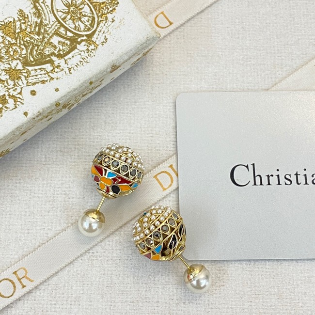 Dior Earrings CE13771