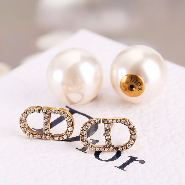 Dior Earrings CE13792