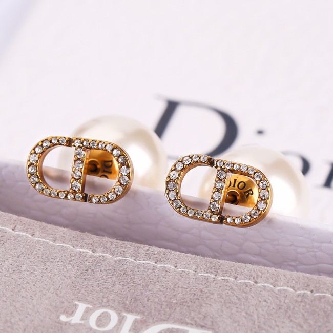 Dior Earrings CE13792