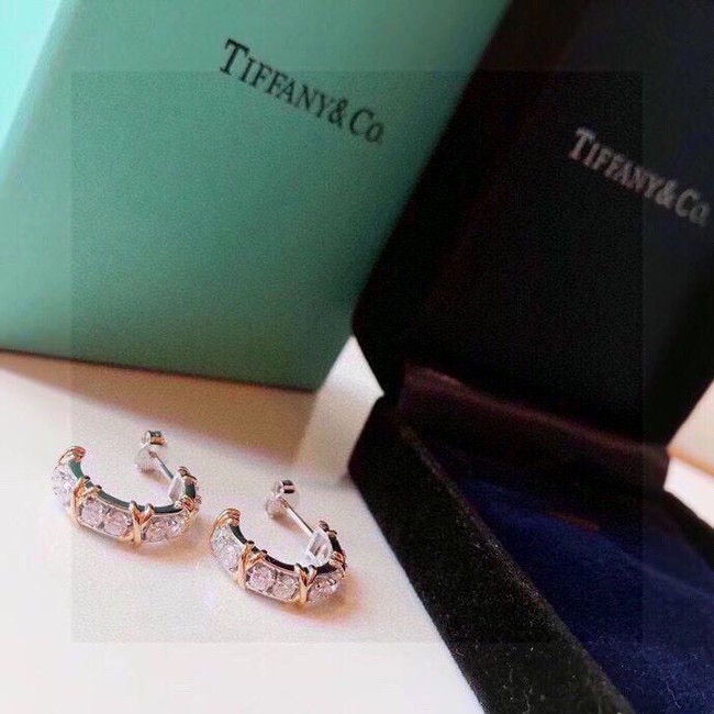 TIFFANY Earrings CE13784