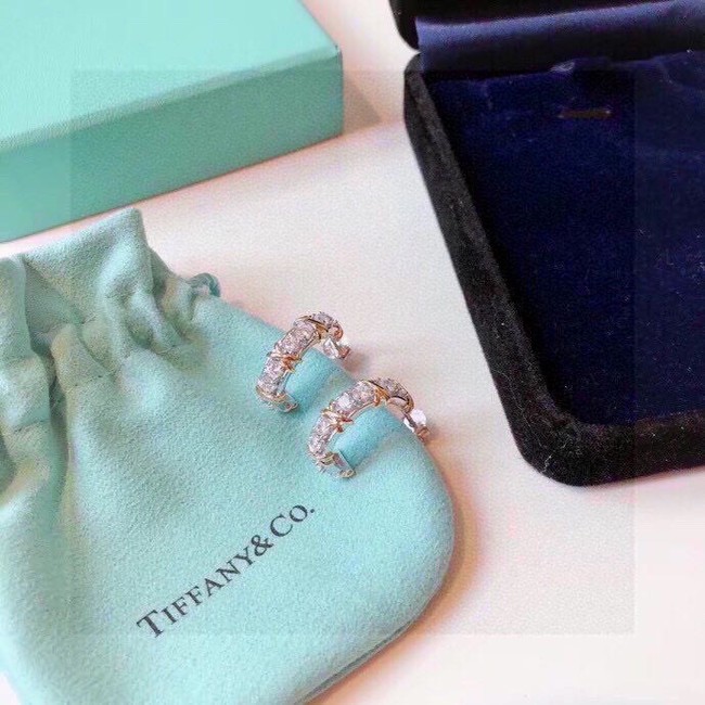 TIFFANY Earrings CE13784