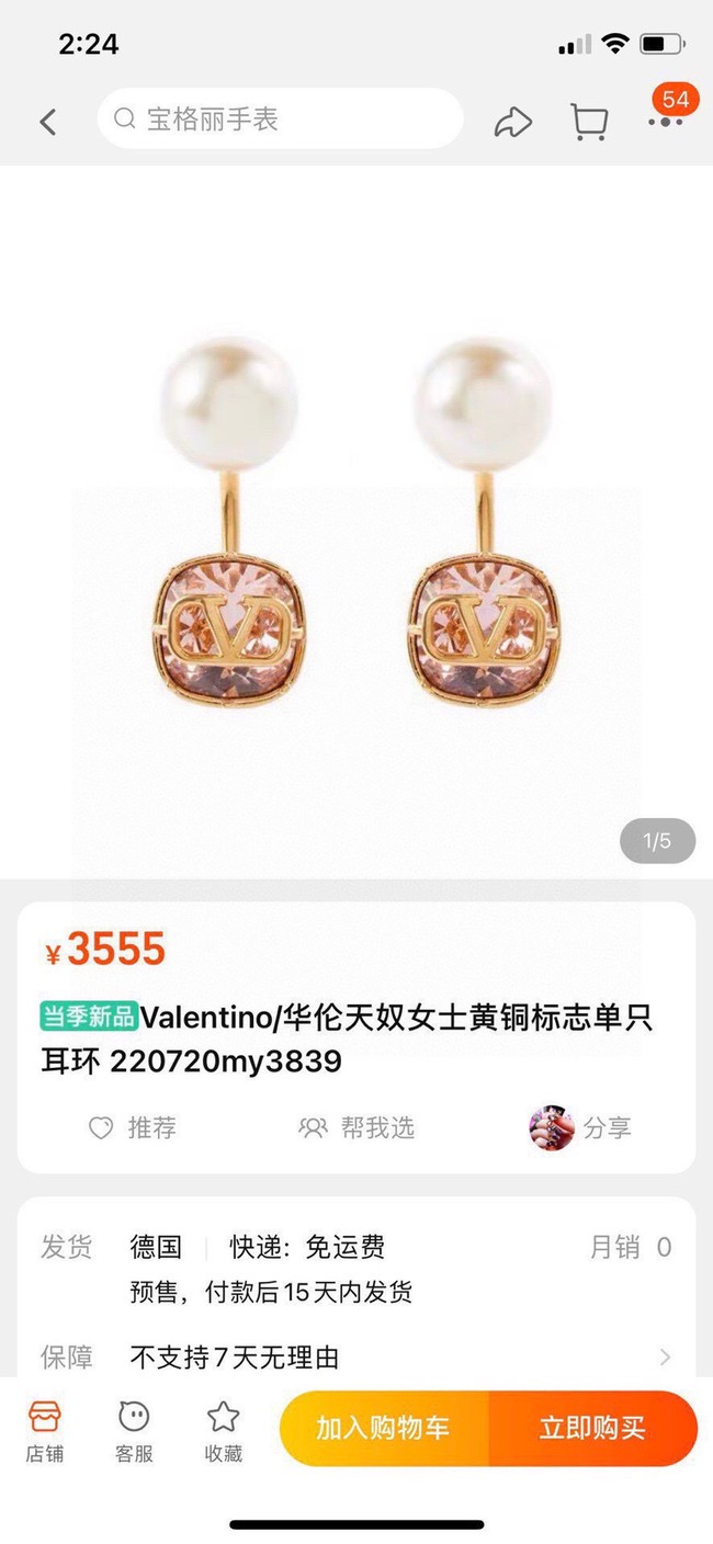 Valentino Earrings CE13800