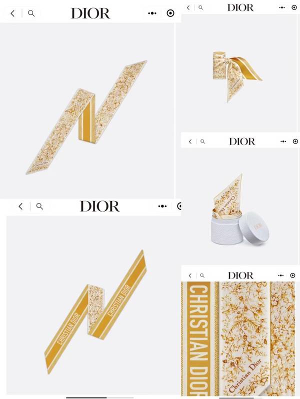 Dior Scarf DIC00344