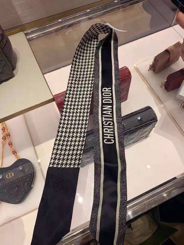 Dior Scarf DIC00349