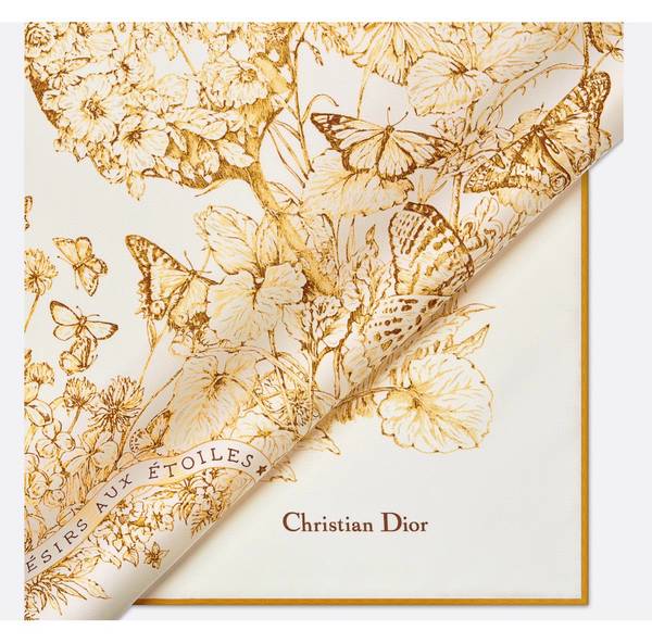 Dior Scarf DIC00353