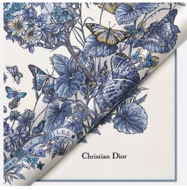 Dior Scarf DIC00367