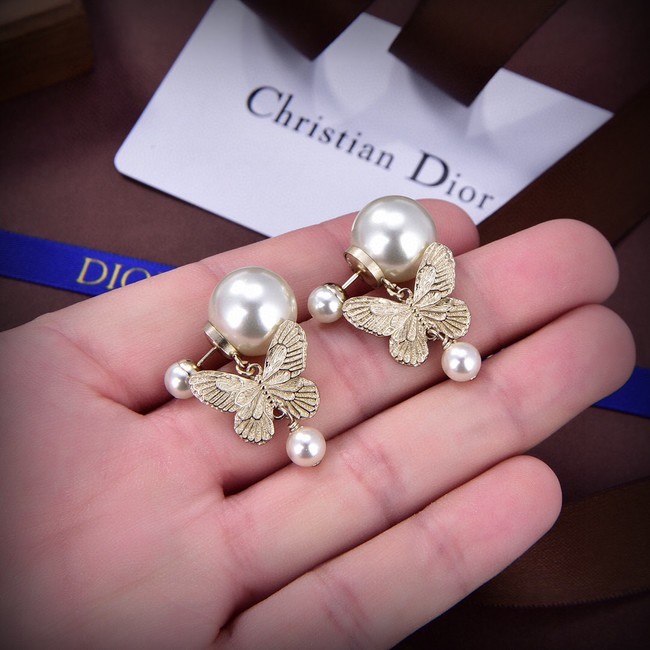 Dior Earrings CE13868