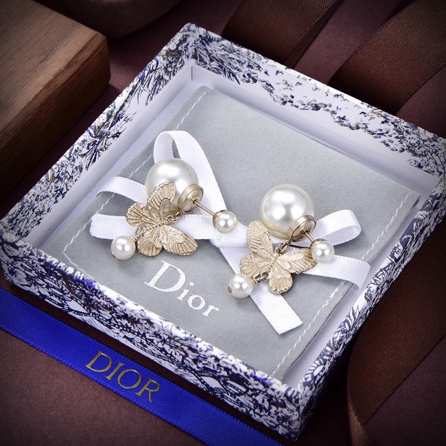 Dior Earrings CE13868