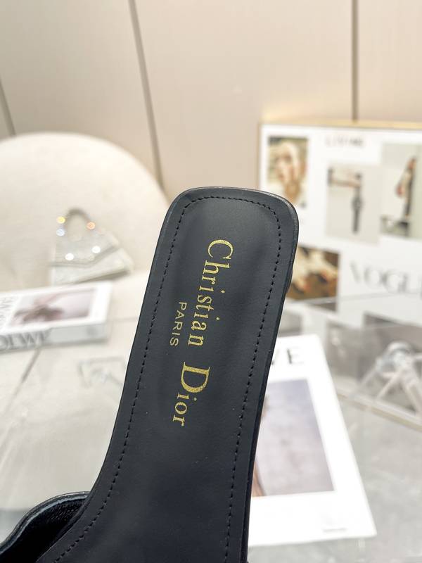 Dior Shoes DIS00501