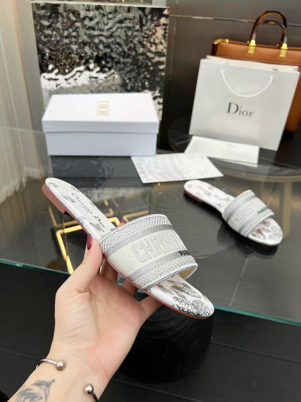 Dior Shoes DIS00512