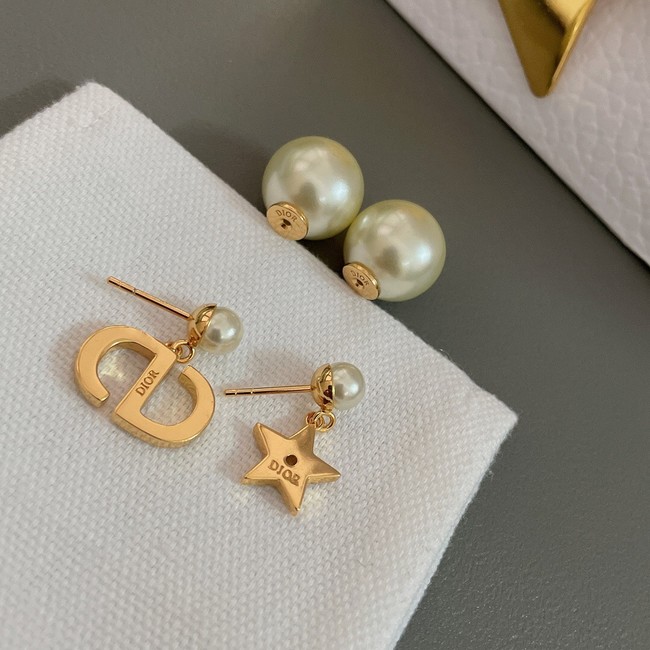 Dior Earrings CE13886