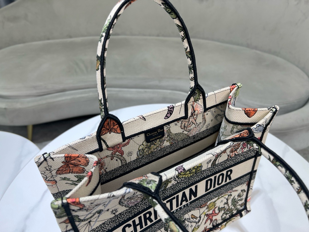 Medium Dior Book Tote Embroidery M1296ZESJ