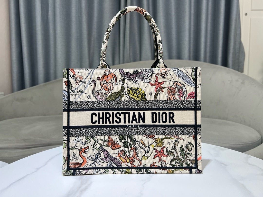 Medium Dior Book Tote Embroidery M1296ZESJ