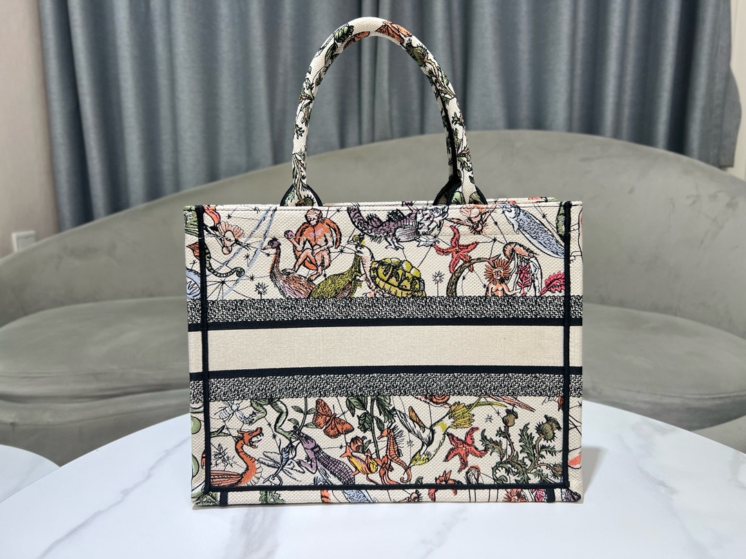 Medium Dior Book Tote Embroidery M1296ZESJ