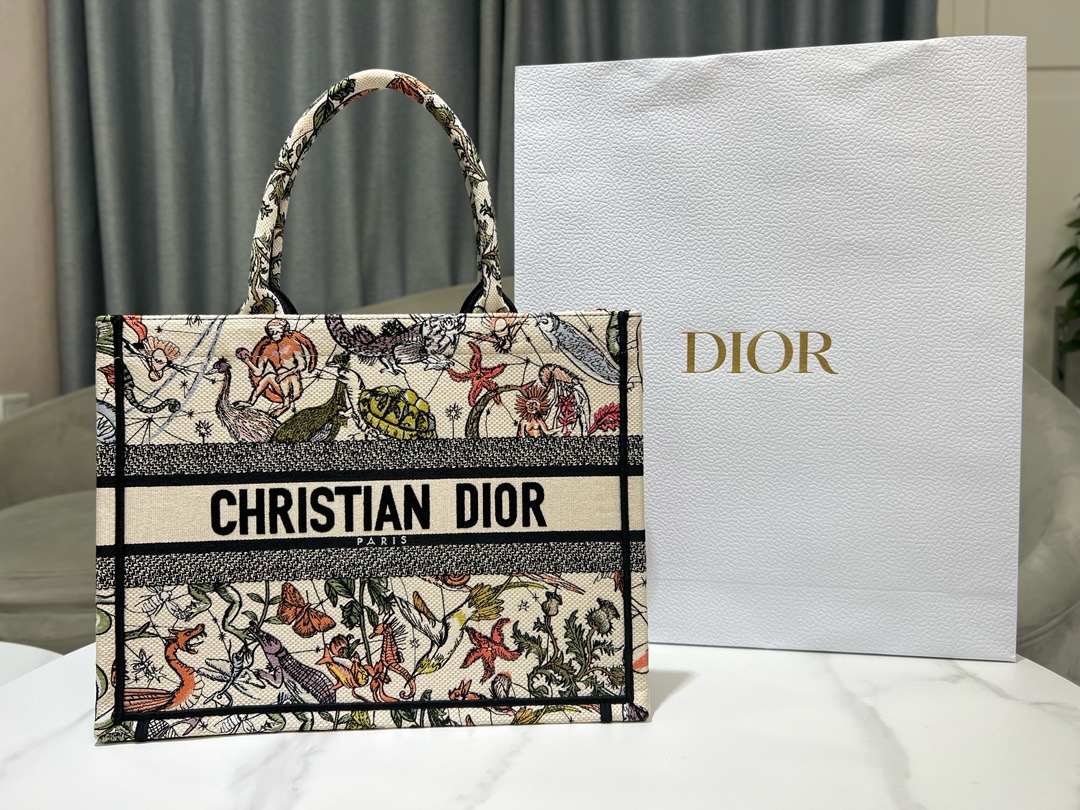 Medium Dior Book Tote Embroidery M1296ZESJ