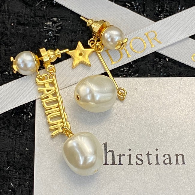 Dior Earrings CE13933