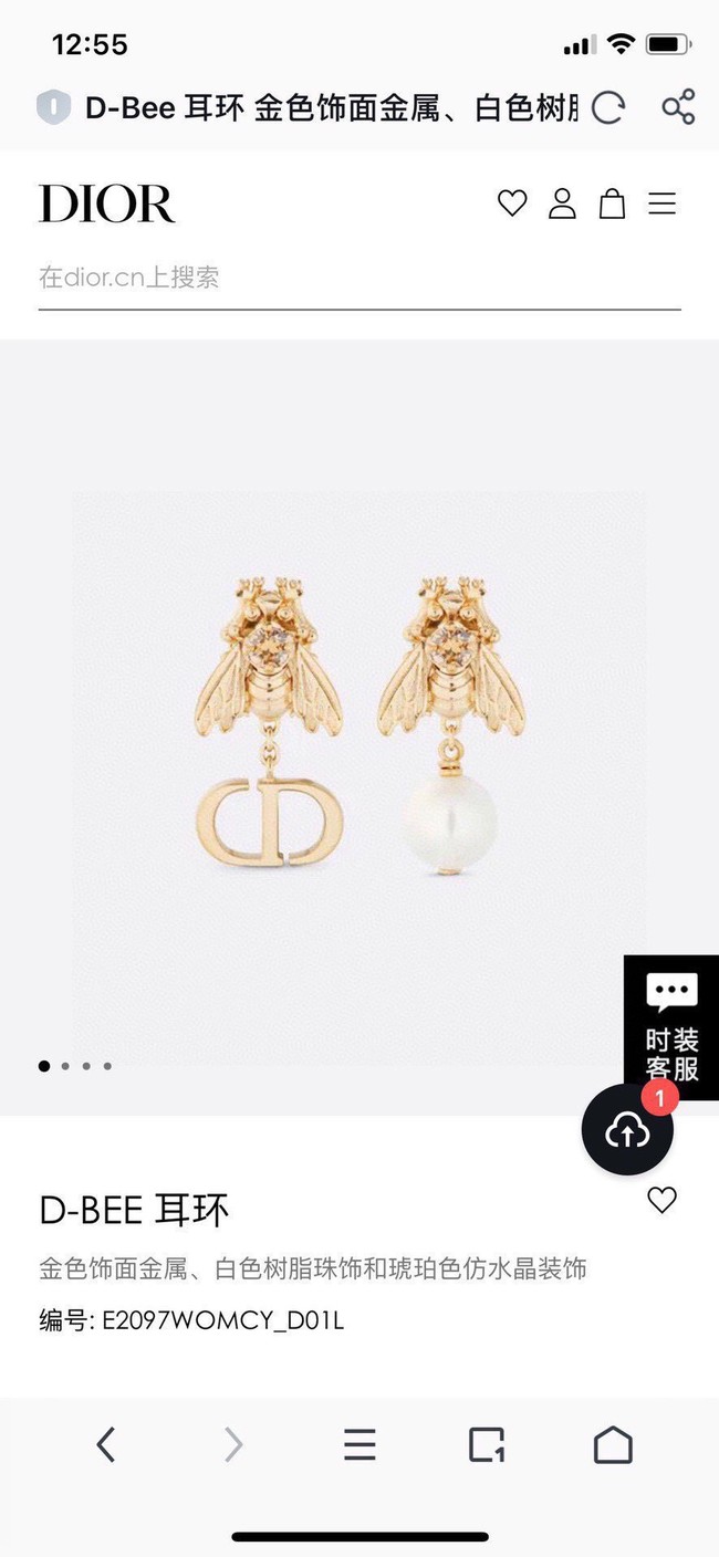 Dior Earrings CE13937