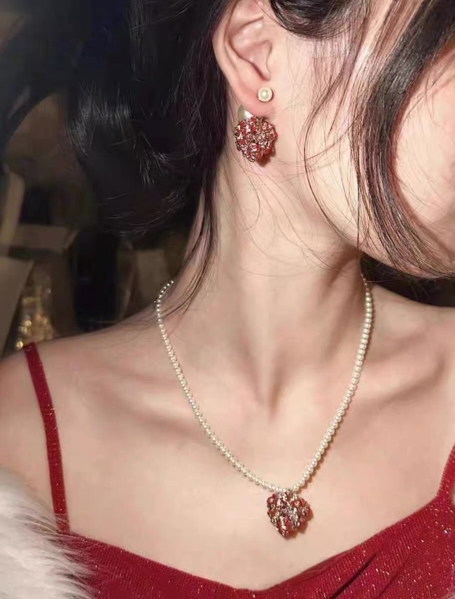 Dior Earrings CE13938