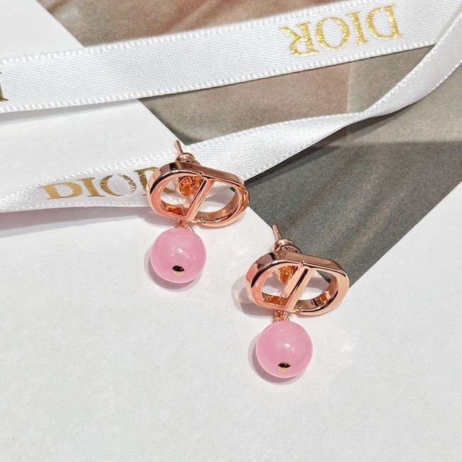 Dior Earrings CE13944