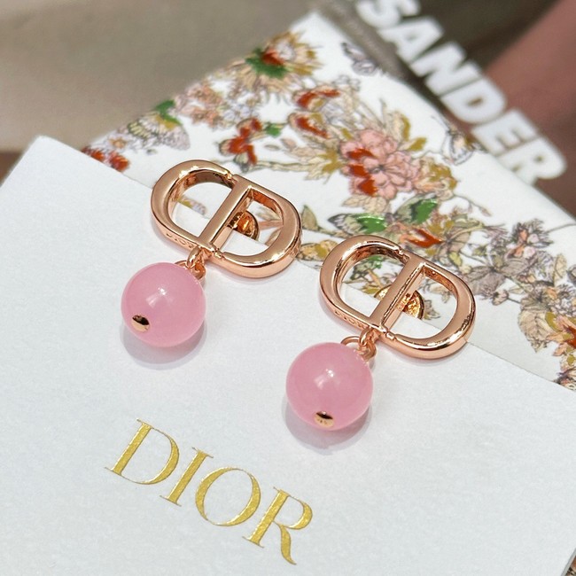 Dior Earrings CE13944