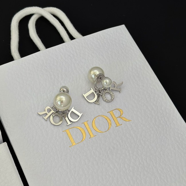 Dior Earrings CE13968