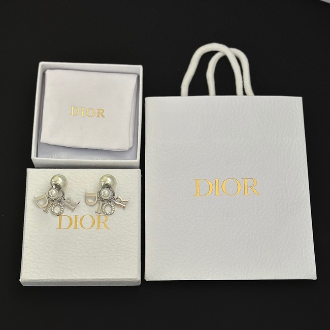 Dior Earrings CE13968