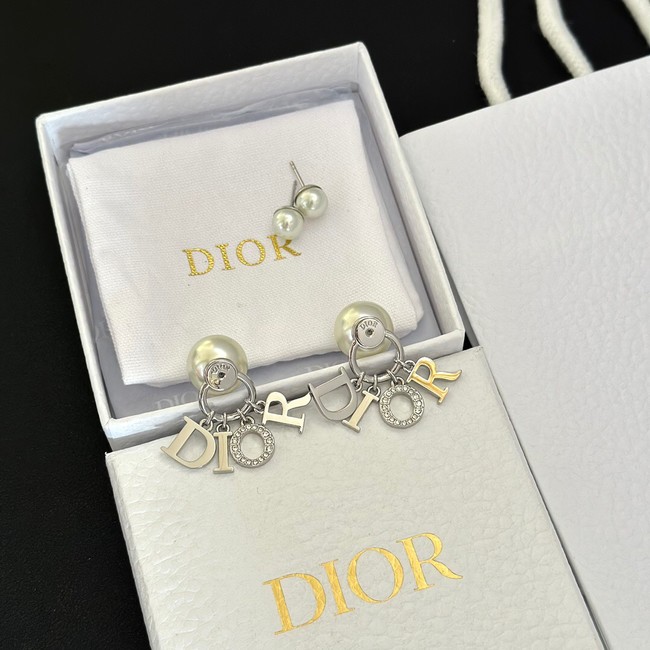 Dior Earrings CE13968