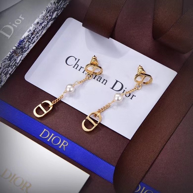 Dior Earrings CE14102