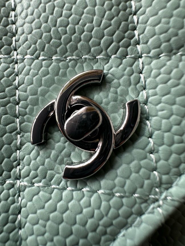 Chanel Classic Wallet On Chain Lambskin AP4241-4