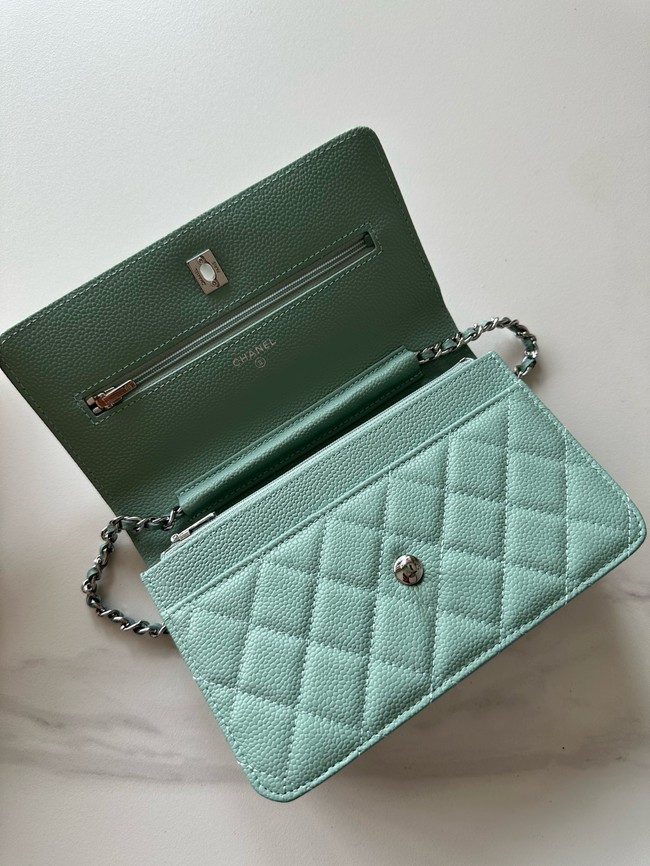 Chanel Classic Wallet On Chain Lambskin AP4241-4
